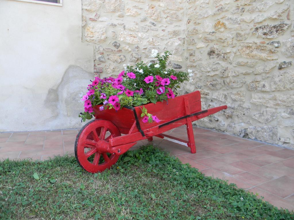 Agriturismo Podere la selva Villa Serre Di Rapolano Exterior foto