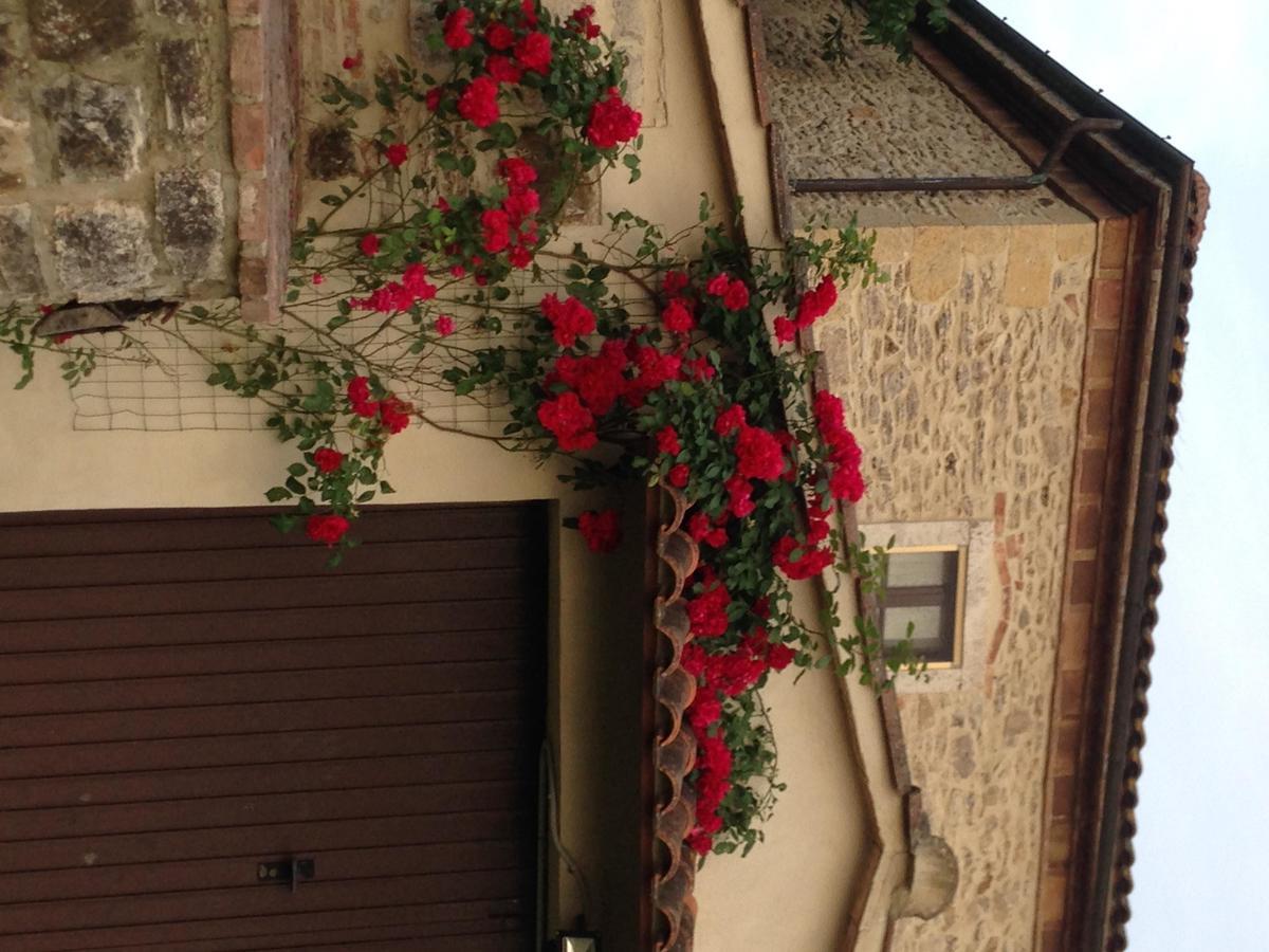 Agriturismo Podere la selva Villa Serre Di Rapolano Exterior foto